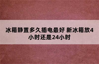 冰箱静置多久插电最好 新冰箱放4小时还是24小时